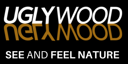 Uglywood